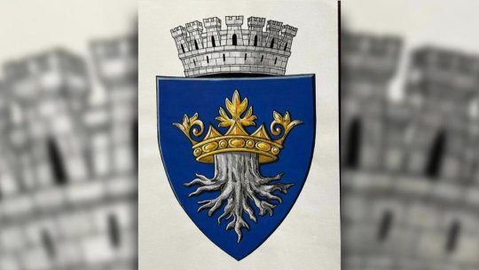 Stema municipiului Brașov, pe masa Guvernului