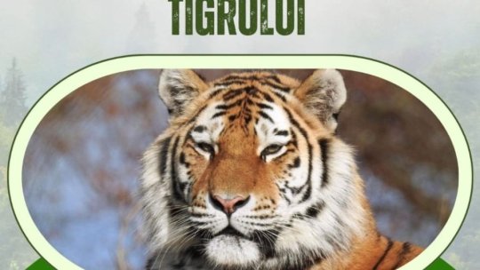 Lea, Amina, Luna şi Aset au fost astăzi vedetele de la Zoo Brașov