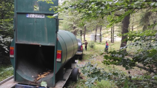 Cușcă specială pentru capturarea unui urs care a coboarât în oraș, montată la Râșnov