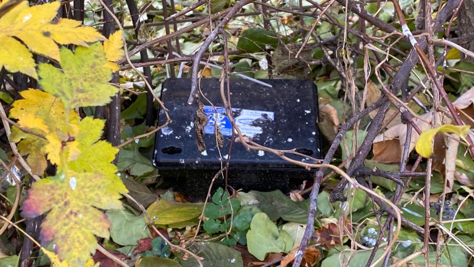 Începe a doua campanie de deratizare din acest an în municipiu