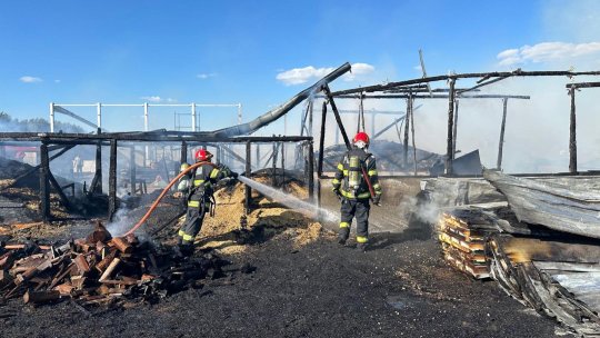 Incendiu la o fermă din Codlea