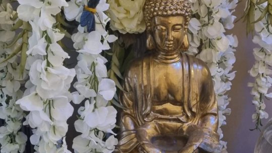 La Brașov, pregătirea pentru plajă se face la -196 de grade sau în saloanele de masaj și bronzat