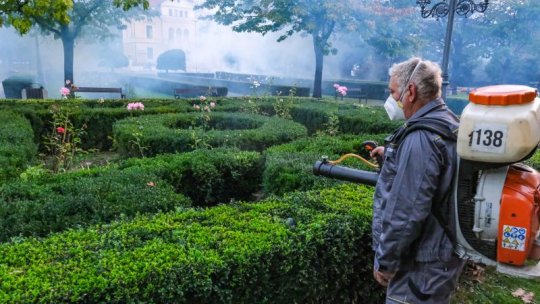 Tratamente fitosanitare la arborii și arbuștii din Brașov