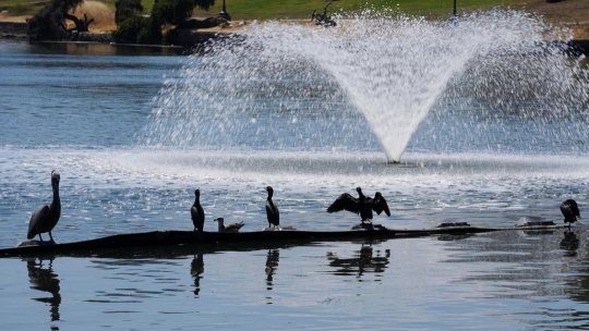 Recomandări pe perioada caniculei