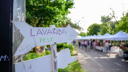 Lavanda Fest revine la Brașov