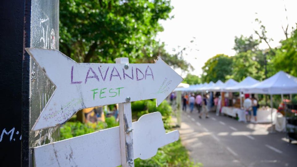 Lavanda Fest revine la Brașov