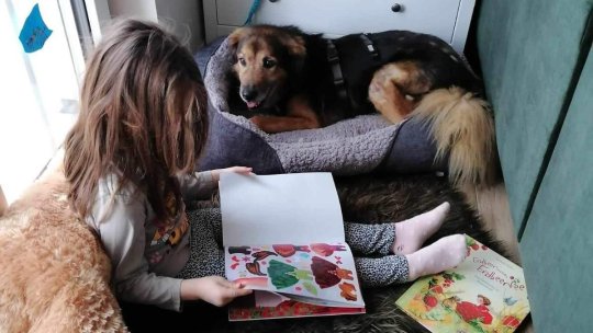 BOOKaDog – Proiectul prin care copiii vor citi povești alături de câinii fără stăpân