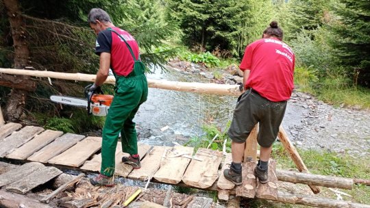Salvatorii montani fac lucrări în Munții Făgăraș