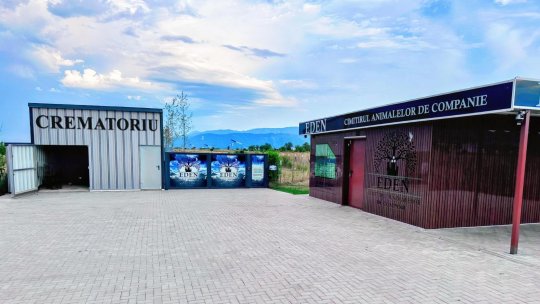 Incinerator la Cimitirul Animalelor din Codlea