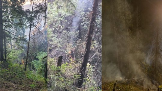 VIDEO Incendiu de fond forestier în Masivul Piatra Mare