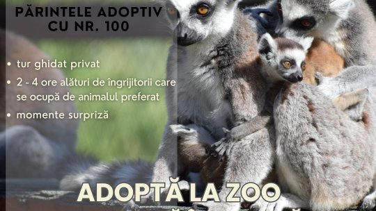 O zi specială la Zoo Brașov pentru părintele adoptiv cu numărul 100
