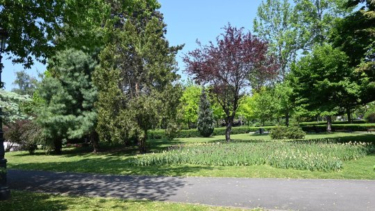 "Marea hămăceală”, la Brașov