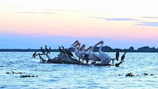 JURNAL DE CĂLĂTORIE. Lacul Uzlina, un lac de poveste în cea mai fascinantă zonă a României – Delta Dunării