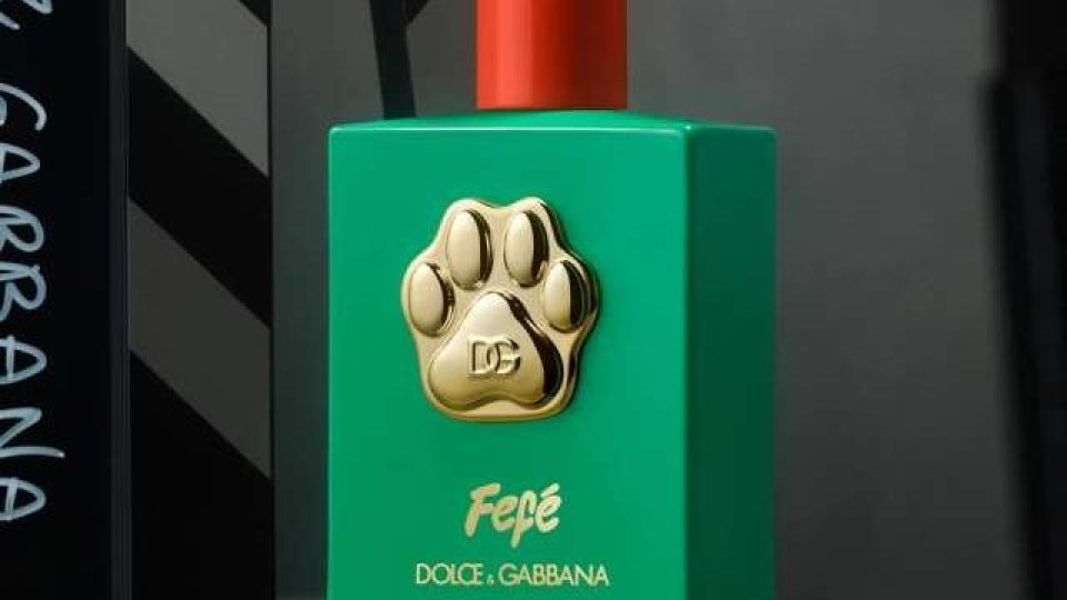 Dolce&Gabbana a lansat un nou parfum pentru câini