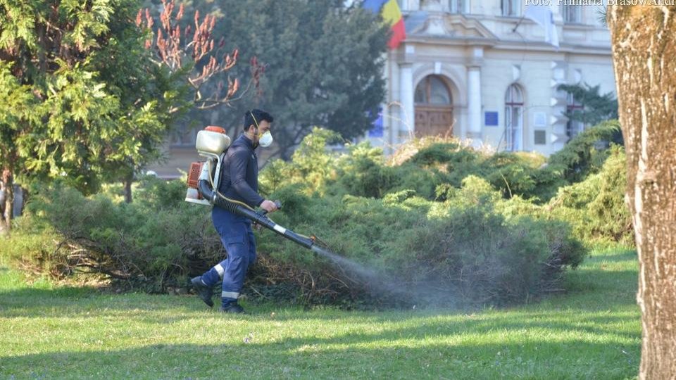 A început o nouă campanie de dezinsecție la Brașov