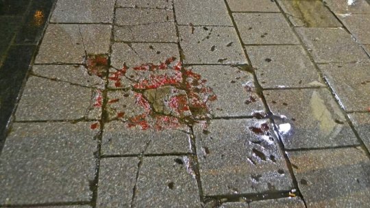 JURNAL DE CĂLĂTORIE. Impresionanta poveste a Trandafirilor Sarajevo