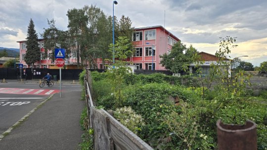 O porțiune din drumul de lângă Școala 14 poate fi un adevărat pericol pentru persoanele alergice