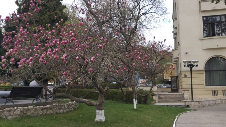 Târg de locuri de muncă, deschis la Casa Armatei din Brașov