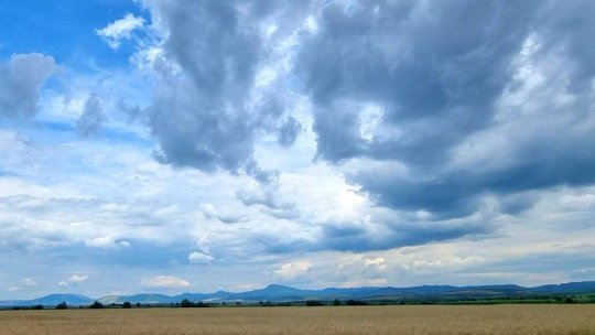 Aproape 3.700 de hectare din județul Brașov au fost afectate de secetă pedologică