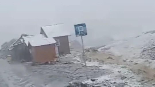 Ninge pe Transfăgărășan!