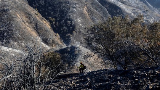 24 de persoane au murit până acum în incendiile de vegetaţie care au devastat Los Angeles
