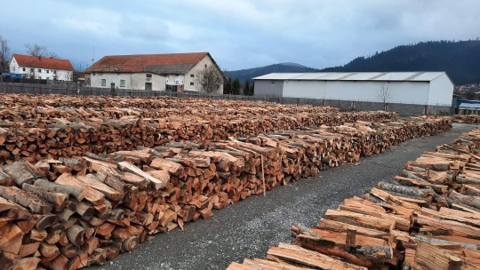 Sute de cereri pentru lemne de foc, la primăriile din județ