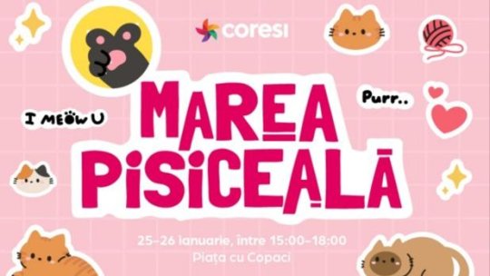 „Marea pisiceală”, la Brașov