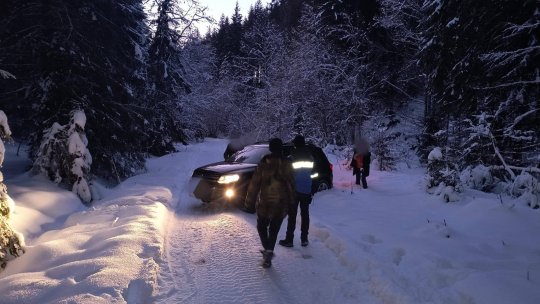 Rătăciți pe drum forestier