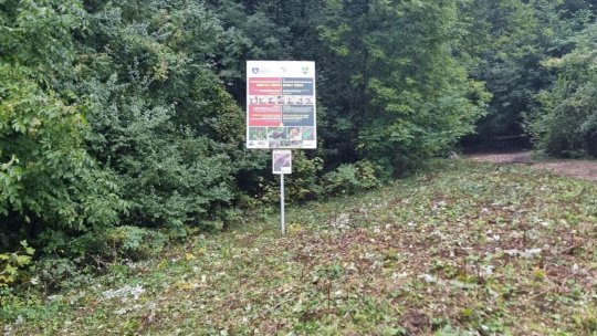 Igienizare și afișaj nou pe Tâmpa