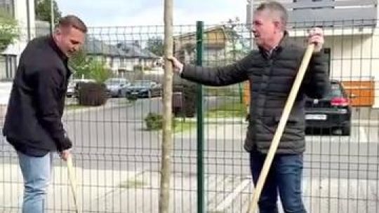 Sute de arbori plantați în cartierul Tractorul