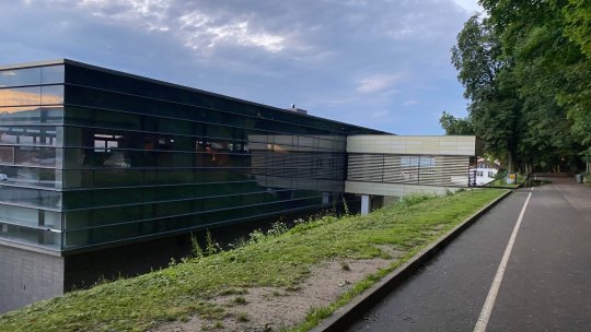 De ce au fost taiați castanii de sub Tâmpa