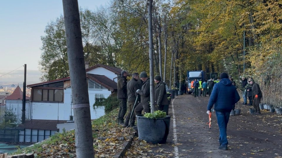 Campanie de plantări Sub Tâmpa - ,,Reparăm ce au stricat alții!”