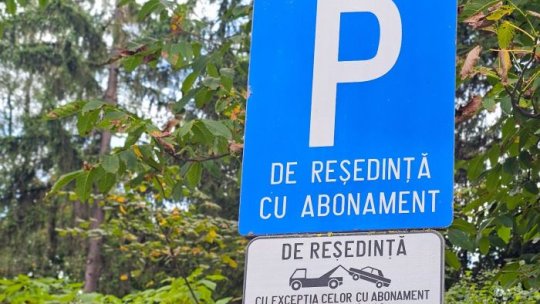 Cele mai multe parcări din zona Zizinului – Neptun, atribuite la tarife de peste 1.000 de lei/an