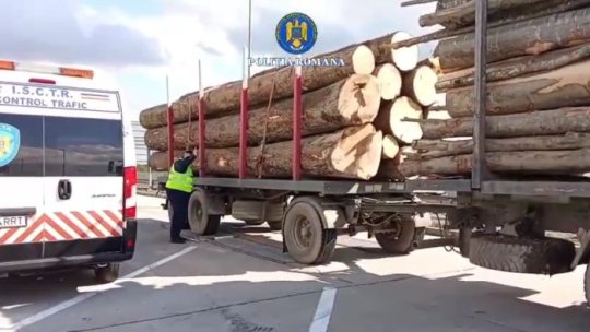Nereguli grave constatate de polițiști în domeniul silvic! Amenzi de 145.000 de lei VIDEO