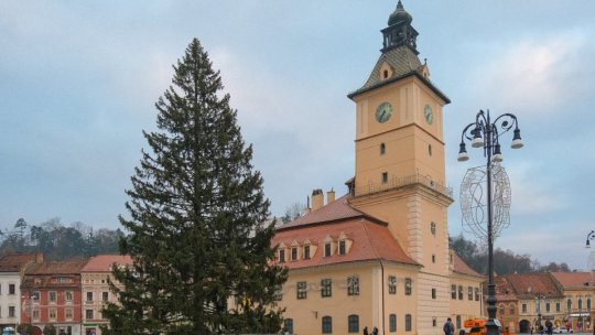 De unde va fi adus bradul de Crăciun din Piața Sfatului