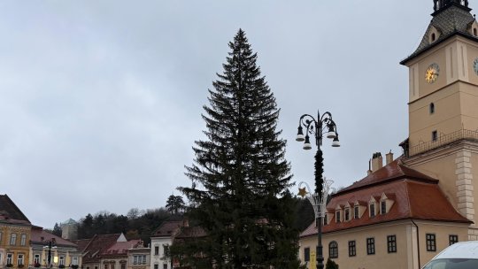 Ce spun brașovenii despre bradul din Piața Sfatului