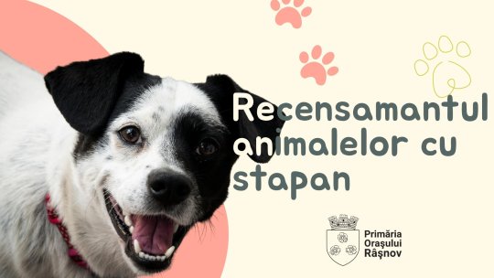Animalele de companie vor fi microcipate gratuit la Râșnov