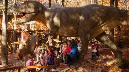 Dino Parc Râșnov, ofertă specială