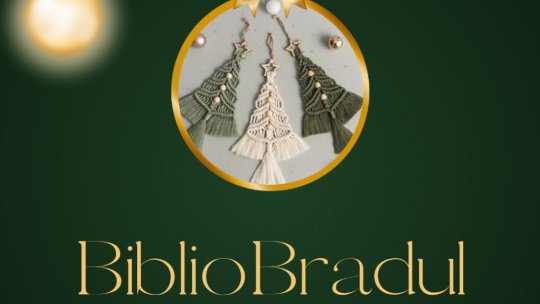 Bibliobradul de Crăciun, concurs organizat de Biblioteca Județeană Brașov