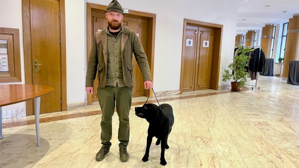 Labradorul Corbu, gardianul pădurilor și în timpul studiului pentru numărarea urșilor