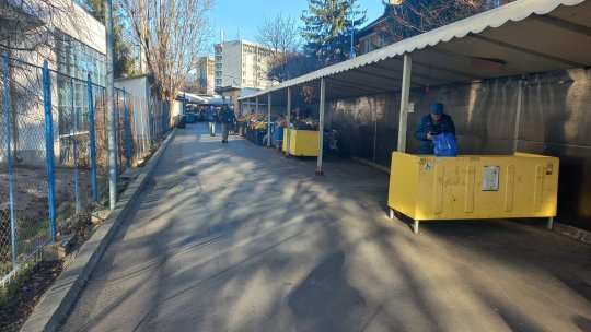 Deși se pot vinde, brazii de Crăciun nu au apărut în piețe