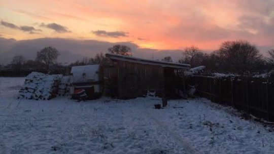 Aproape 14 milioane de lei pentru încălzirea cu lemne în județul Brașov