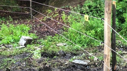 Gardurile electrice, soluția eficientă pentru a ține urșii departe de comunitate, la Râșnov