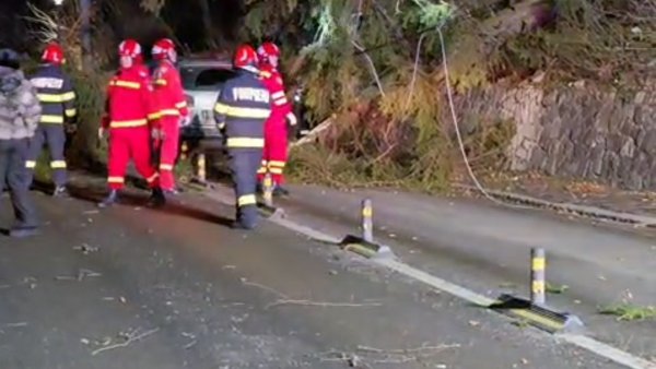 Stâlpi și arbori doborâți de vânt la Sinaia. Autoritățile intervin pentru înlăturarea situațiilor de risc