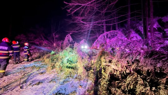 Intervenții ale pompierilor din cauza vântului puternic