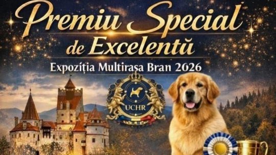 Expoziție națională multirasă la Bran