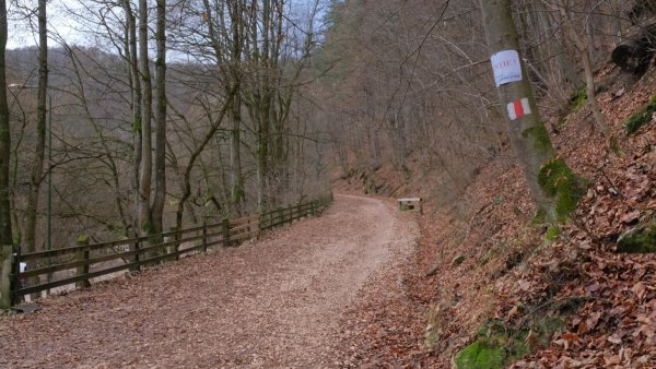 Aluviunile de la inundații, material pentru consolidarea drumului vechi spre Poiană