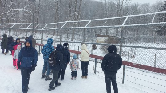 Animalele de la Zoo nu sunt afectate de vremea geroasă