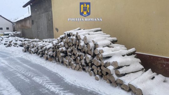 Lemne fără documente, confiscate de polițiști. Amenzi de 14.000 de lei