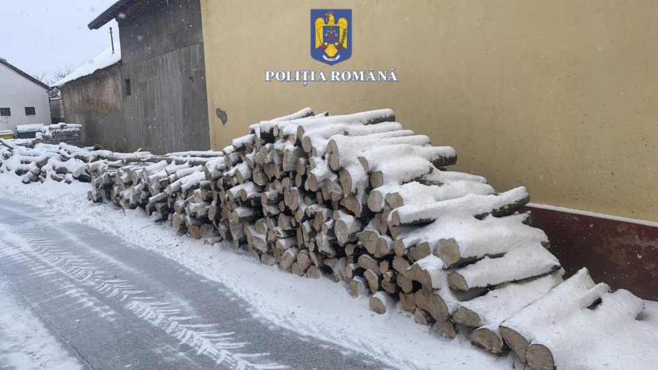 Lemne fără documente, confiscate de polițiști. Amenzi de 14.000 de lei